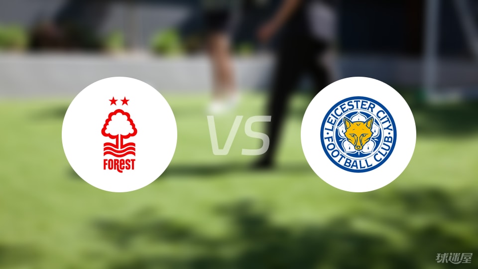 吴东融赛季表现回顾