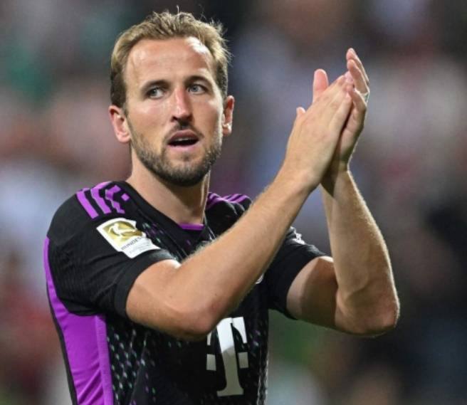 无疑激励着 无疑激励着